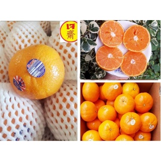 ส้มใต้หวัน 🍊🍊ไซร์ L,XL หวาน หอม อร่อย แช่เย็นชื่นใจ🍊🍊โปร 9.9 สั่งเลย✔✔