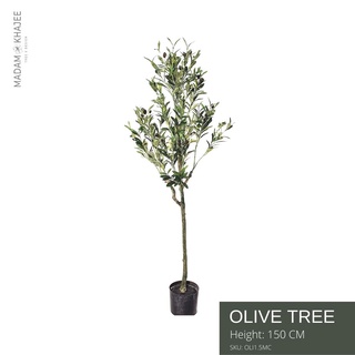 Olive tree ต้นมะกอก 150 CM ต้นไม้ปลอมเกรดพรีเมี่ยม มาดามขจี  Premium Artificial Plant