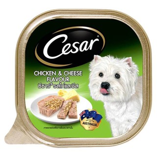 ✨นาทีทอง✨ ซีซาร์ อาหารสุนัขชนิดเปียก รสไก่และชีส 100 ก. CESAR Wet Dog Food Chicken &amp; Cheese Flavor 100 g.