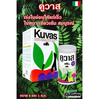 คูวาส (Kuvas) ขนาด 500 กรัม ปุ๋ยทางใบที่มีธาตุแมกนีเซียมสูงเป็นพิเศษ และมีธาตุอาหารเสริม 4 ธาตุ คือ โบรอน เหล็ก แมงกานีส