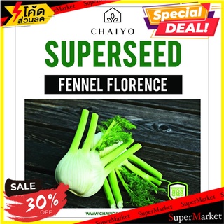 เมล็ดพันธุ์เฟนเนล ชัยโย 100 เมล็ด เมล็ดพันธุ์ FENNEL (FLORENCE) 100 SEEDS ต้นไม้และเมล็ดพันธุ์