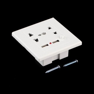 Dual USB Electric Wall Charger Dock Station Socket Power Outlet Panel Plate