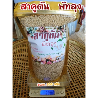 สาคูต้น เม็ดสาคูแท้ 100% เกรดพรีเมียม แป้งสาคูต้นพัทลุง  ออร์แกนิค จากธรรมชาติ มีประโยชน์ต่อร่างกาย ไฟเบอร์สูง 500 กรัม