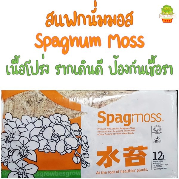 Best saller สแฟกนั่มมอส SpagnumMoss มอสสำหรับเพาะกล้า 150กรัม spagmoss (หน้าส้มก้อนเล็ก) ขยาย 12 ลิตร นิวซีแลนด์ NewZealand เมล็ดฟ้าทะลายโจร เมล็ดแคนตัส เมล็ดผัก เมล็ดพืช กล้วยไม้