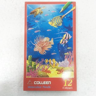 สีไม้ระบายน้ำ คอลลีน (COLLEEN) 12 สี ยาว