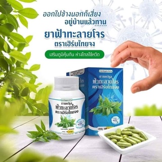 พร้อมส่ง ฟ้าทะลายโจรแคปซูล ตรา เฮริ์บไทยจง ขนาด 100 Capsules