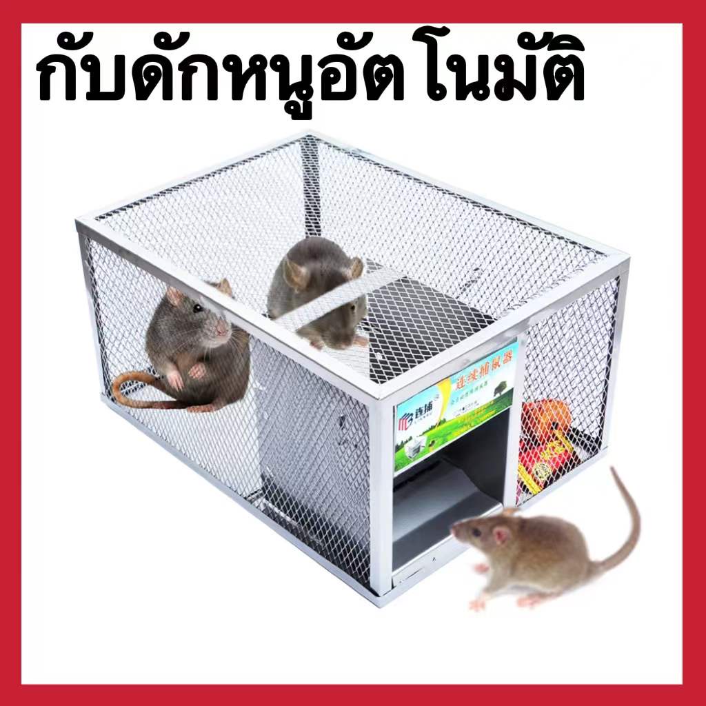 My Image 33