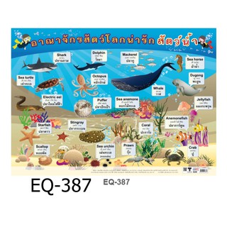 สัตว์น้ำ (อาราจักรสัตว์โลกน่ารัก) EQ-387 สื่อโปสเตอร์ภาพ กระดาษ หุ้มพลาสติก