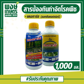 แคงการ์ด (ออกซีนคอปเปอร์)1,000 ml. หยุดโรครา ฆ่าแบคทีเรีย โรคใบขีดโปร่งแสง โรคใบแถบแดง โรคขอบใบแห้ง ยาเย็นฉีดผ่าดอกได้