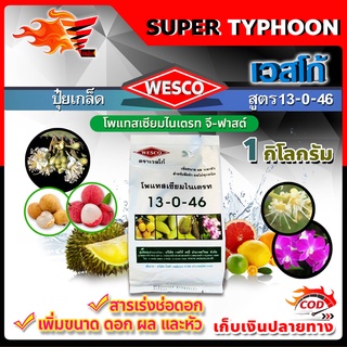 บรรจุ 1 กิโลกรัม WESCO ปุ๋ย 13-0-46 โพแทสเซียมไนเตรท จี-ฟาสต์ ปุ๋ยเกล็ด เวสโก้ สารเร่งช่อดอก เพิ่มขนาด ดอก ผล และหัว