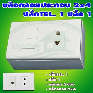 บล็อกลอย ขนาด 2x4 นิ้ว พร้อม ปลั๊ก 1 ปลั๊กTEL. 1 (G-07)