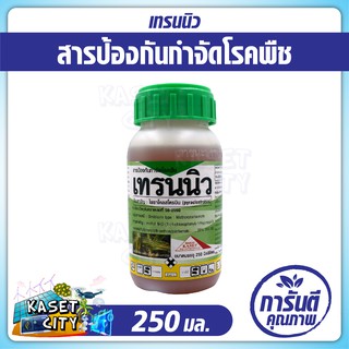 เทรนนิว 250 ml. (ไพราโคลสโตรบิน) ป้องกันโรคใบไหม้แผลใหญ่ในข้าวโพดหวานที่มีสาเหตุจากเชื้อรา Exerohilum turcicum