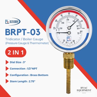 Tridicator/Boiler Gauge เครื่องวัดอุณหภูมิและวัดแรงดันในตัวเดียวกัน ยี่ห้อ Blue Ribbon หน้าปัด 3" เกลียว 1/2"NPT