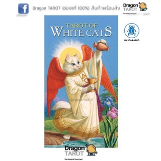 ไพ่ทาโรต์ Tarot of white Cats (ของแท้ 100%) สินค้าพร้อมส่ง ไพ่แท้ ร้าน Dragon TAROT