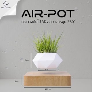 Air Pot tree กระถางต้นไม้ลอยได้ เสริมฮวงจุ้ย