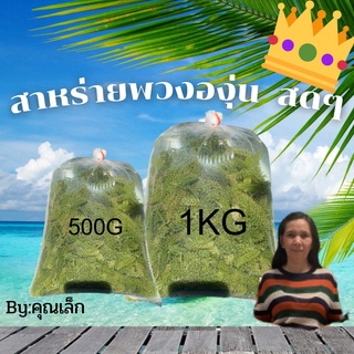 GreencarviarThailand(สาหร่ายพวงองุ่นสดๆจากฟาร์ม)