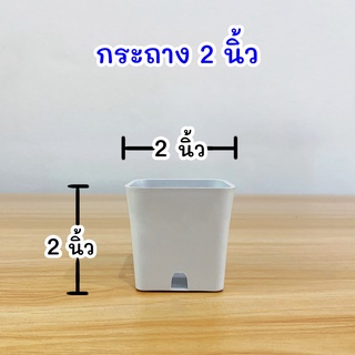 แพค 10 , 18 ใบ กระถางเหลี่ยม 2 นิ้ว กระถางต้นไม้ แคคตัส