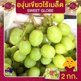 องุ่นไร้เมล็ด องุ่นเขียว 2 กก. นำเข้าจากออสเตรเลีย องุ่นนำเข้า Grapes องุ่น ผลไม้สด หวาน กรอบ อร่อย ส่งฟรี