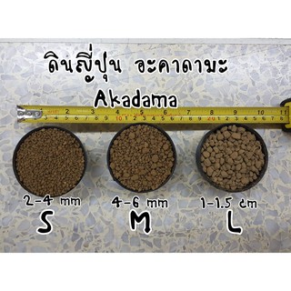 ดินญี่ปุ่น AKADAMA มี3 Size Thin/Small/Large