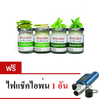 SenOdos เทียนหอมระเหย เทียนหอมอโรม่า กลิ่นมิ้นต์ Minty Set 45g x4กลิ่น  แถมฟรีไฟแช็คไอพ่น 1 อัน