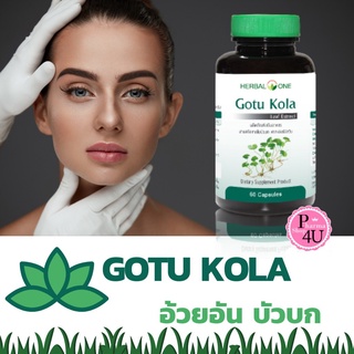 Herbal One Gotu Kola อ้วยอัน ใบบัวบกสกัด เฮอร์บัล วัน บรรจุ 60 แคปซูล (อ้วยอันโอสถ)