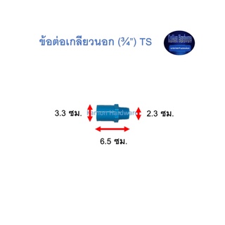 ข้อต่อเกลียวนอก ท่อน้ำไทย (¾”) Thai Pipe TS Valve Socket ฟ้า 3/4