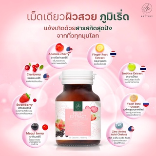 1 แถม 1 Nattuly Fruit Extract ผิวสวย ชุ่มชื่น วิตามินซีสูง Vitamin C กระตุ้นภูมิคุ้มกัน ล็อคผิวฉ่ำ สารสกัดจากธรรมชาติ