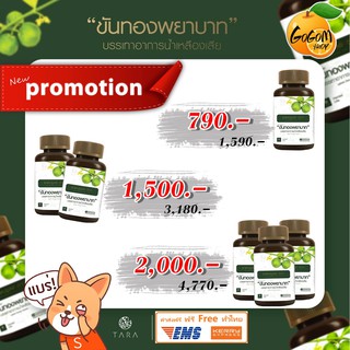 **ส่งฟรี** ขันทองพยาบาท 2 กระปุก 100 แคปซูล ผลิตจากสมุนไพรธรรมชาติ ฝีหนอง โรคผิวหนัง น้ำเหลืองเสีย ฝีคัณฑสูตร ของแท้