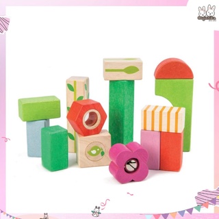Tender Leaf Toys - Nursery Blocks ชุดบล็อกตัวต่อไม้สีสันสดใสธีมเนอร์เซอร์รี่ พร้อมบล็อกเสียงและบล็อกเลนส์