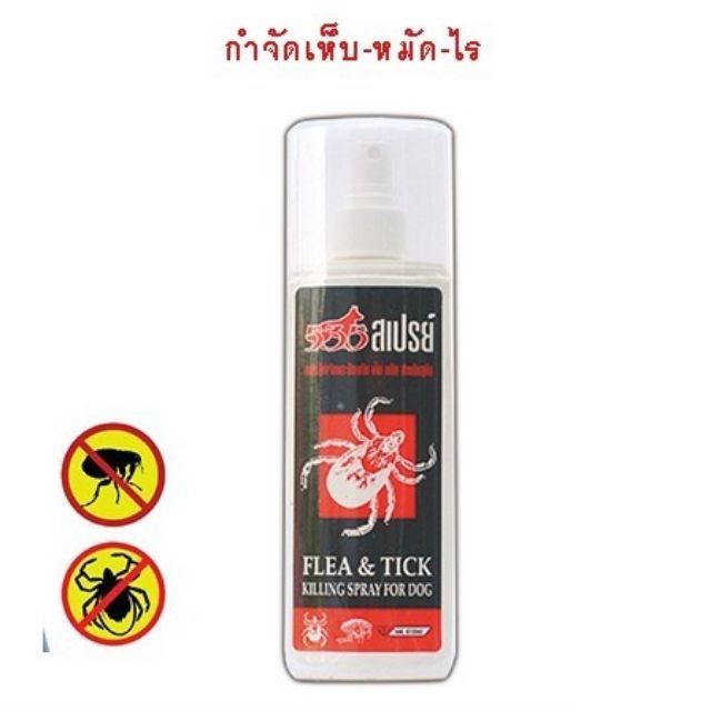 #กำจัดเห็บหมัด #สเปรย์กำจัดเห็บหมัด #สเปรย์กำจัดเห็บหมัดสำหรับสุนัข #535 #สเปรย์535