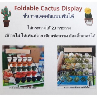 ชั้นวางแคคตัสพับได้ 5 ชั้น วางกระถางกระบองเพชร  วางได้ 23 กระถาง Foldable Cactus Display