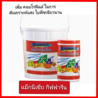 ปุ๋ย แม็กนีเซีย กิฟฟารีน ธาตุอาหารสำหรับพืช เพิ่มความเขียว เพิ่มประสิทธิภาพสังเคราะห์แสง (เพิ่มผลิตทางการเกษตร)