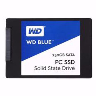 WD SSD - WD SSD 250GB BLUE (WDSSD250GB) SATA