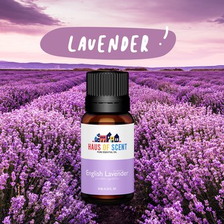 น้ำมันหอมระเหย แท้ 10 ml.-30 ml (LAVENDER Essential Oil) - ลาเวนเดอร์- น้ำมันอโรม่า น้ำมันใส่เครื่องพ่น