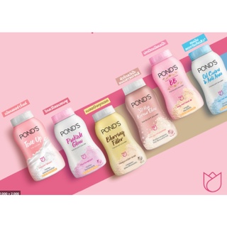 PONDS Powder  ใหม่!  แป้งพอนด์   4 สูตรใหม่ Oil control / pinkisk / 3D Hya / blurring   50g x 6กป.