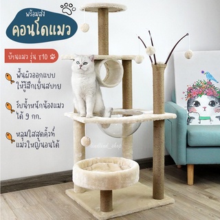 คอนโดแมว พร้อมส่ง! บ้านแมว ที่นอนแมว พื้นเสื่อ ผิวเย็นสบาย ลับเล็บในตัว หลุมอวกาศแมว สูง 120 - 164cm