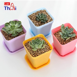 LerThai กระถางต้นไม้พลาสติก พร้อมถาดรอง กระถางขนาดเล็ก  Plastic flowerpot