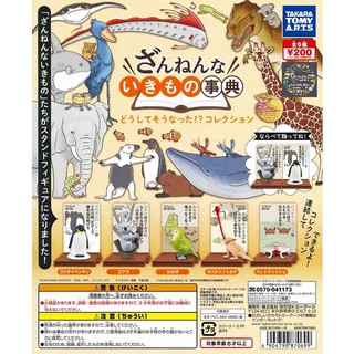 Gashapon Animal Encyclopedia Ikimono Happen - กาชาปอง สัตว์ นกแก้ว เพนกวิน หมีโคล่า กิ้งก่าหนาม ปลาค้างคาวปากแดง