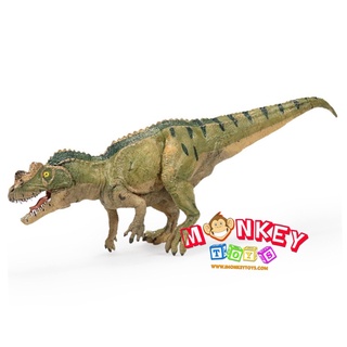 Monkey Toys - โมเดลไดโนเสาร์ Ceratosaurus เขียว ขนาด 20.50 CM (จากหาดใหญ่)