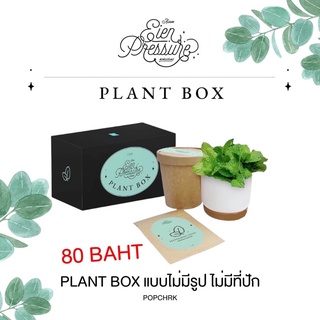 [พร้อมส่ง] CGM48 Plant Box Eien Pressure ไม่มีรูปสุ่ม ไม่มีไม้ปัก