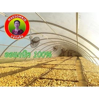 [ออแกนิค] กล้วยตาก เกรดA ครึ่งกิโล ธรรมชาติ 100% ไม่มีน้ำตาลและสารปนเปื้อน อบโดมธรรมชาติ สะอาด หวาน อร่อย