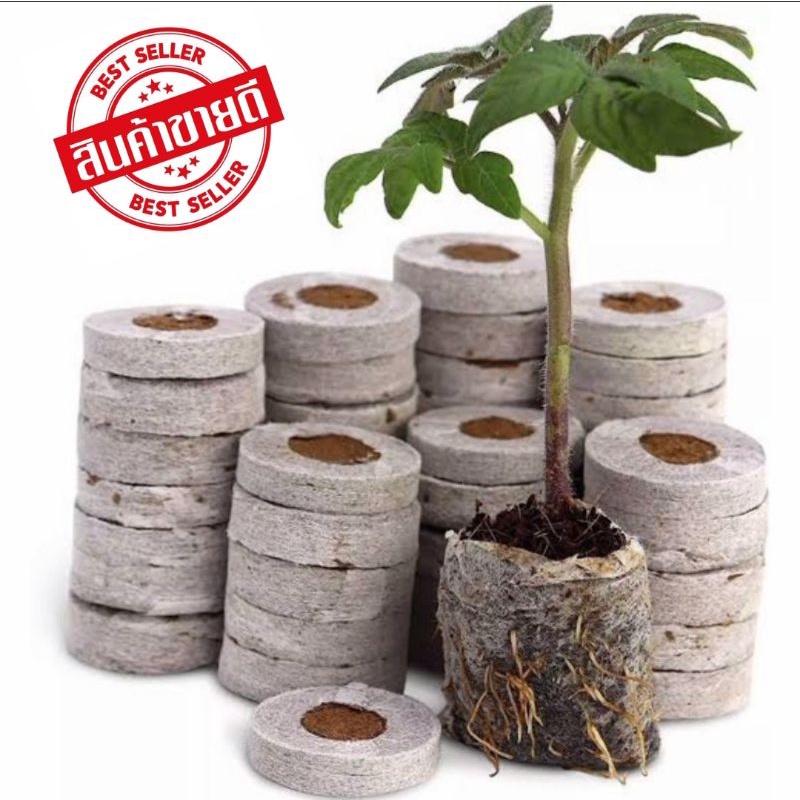 (3cm,5cm,ผงละเอียด) Peatmoss PeatPallet พีทมอส อัดก้อน สำหรับเพาะเมล็ด เพาะปลูก ขนาด 30 มม ,50มม แช่น้ำใช้งานได้ทันที
