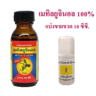ขวด 10 ซีซี สารล่อแมลงวันทอง เมทิลยูจินอล สารล่อแมลงวันผลไม้ เมธิลยูจินอล