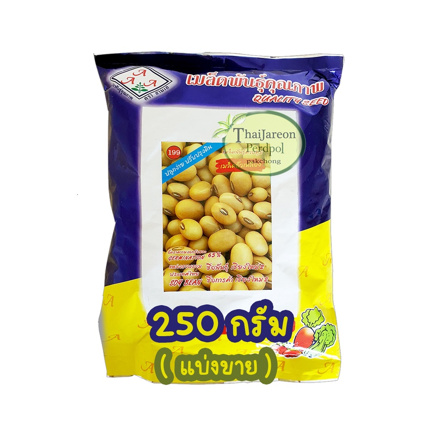 เมล็ดพันธุ์ เมล็ดถั่วเหลือง เชียงใหม่ 2 Soybean Seed เมล็ดถั่วเหลืองสามเอ  มีแบ่งขาย ปลูกถั่วหัวโตได้
