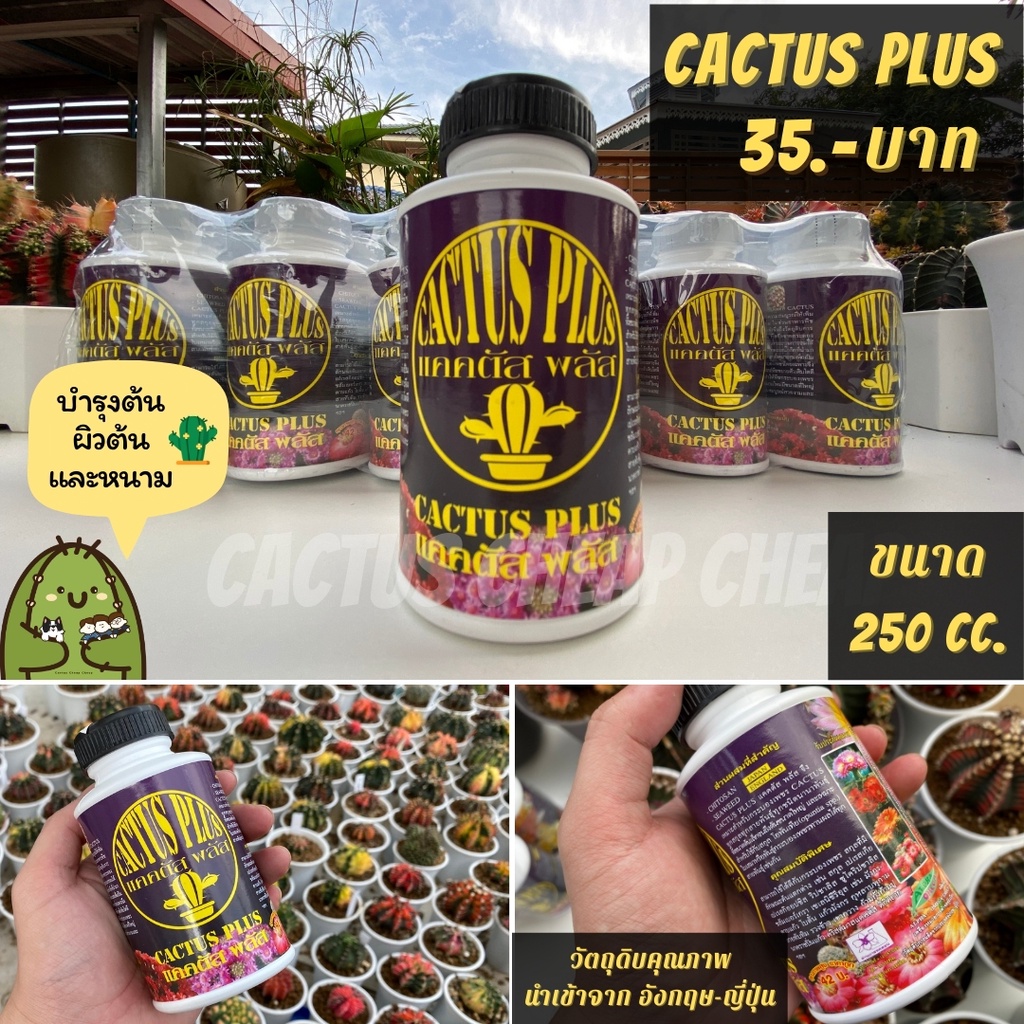ปุ๋ยน้ำ Cactus Plus ขนาด250cc