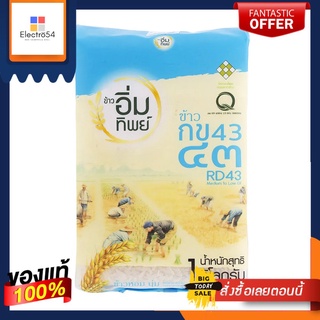 อิ่มทิพย์ข้าวกข43 1กก.EAMTIP RD43 RICE 1KG