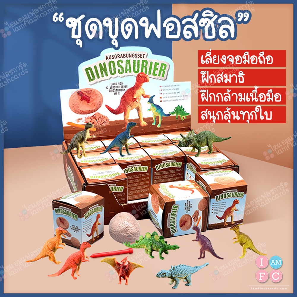 (1ชิ้น)🌺พร้อมส่งร้านไทย🌺🦖ชุดขุดฟอสซิล🦖 ชุดขุดไดโนเสาร์ ไข่สุ่ม ของเล่นเด็ก