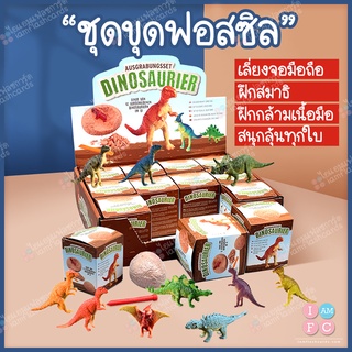 (1ชิ้น)🌺พร้อมส่งร้านไทย🌺🦖ชุดขุดฟอสซิล🦖 ชุดขุดไดโนเสาร์ ไข่สุ…