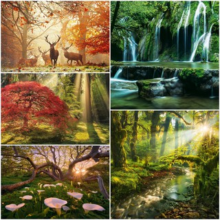 [preorder รบกวนถามstockก่อนสั่งซื้อค่า] Heye Magic Forests jigsaw puzzle จิ๊กซอว์นำเข้า 1000 ชิ้น