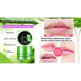 ROUSHUN Aloe Vera Lip Balm 15g.